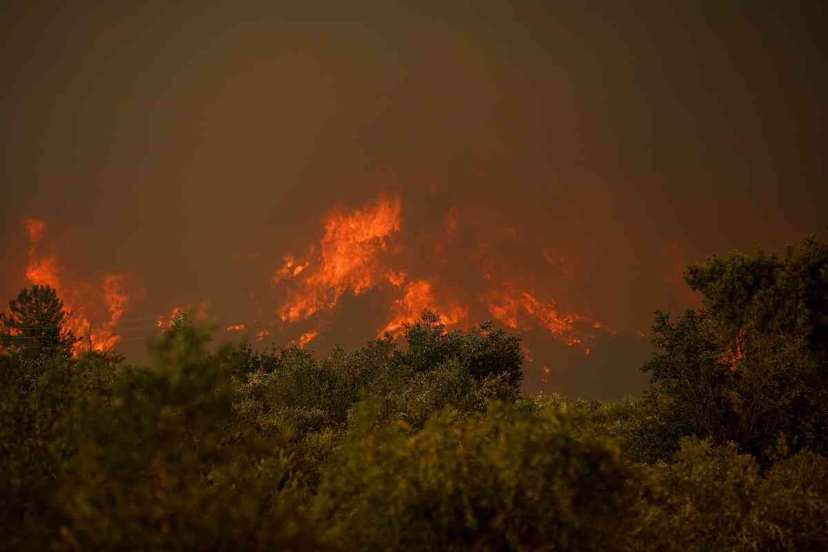 Colorado Wildfires: How to Stay Safe, Prepare to Evacuate, and Protect Your Future